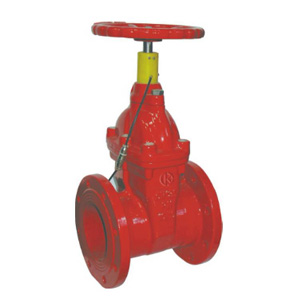 ����������̖���������l�y