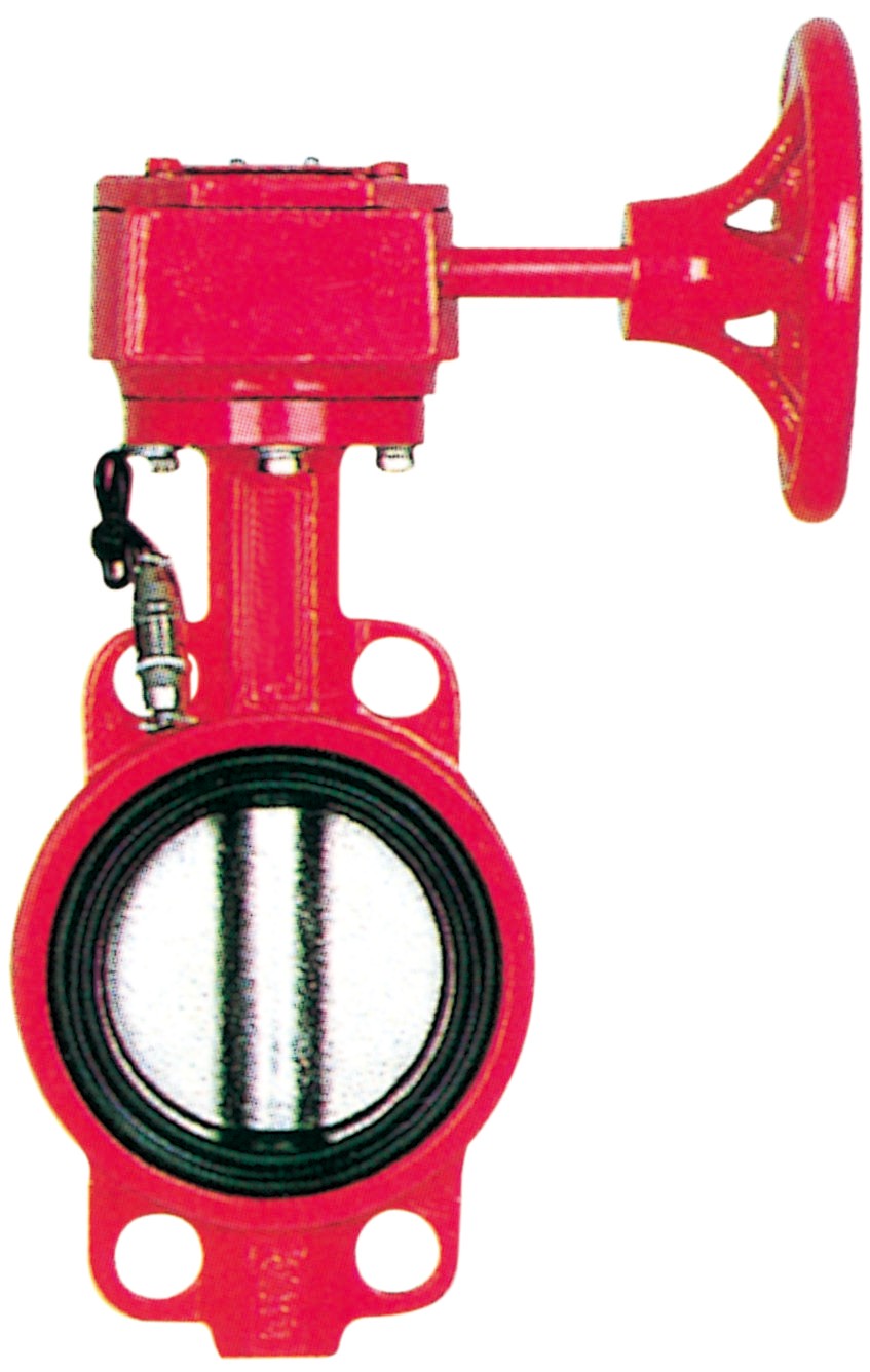 WBSX����������̖���y