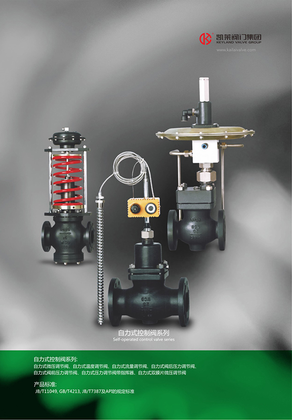 ����ʽ�����y