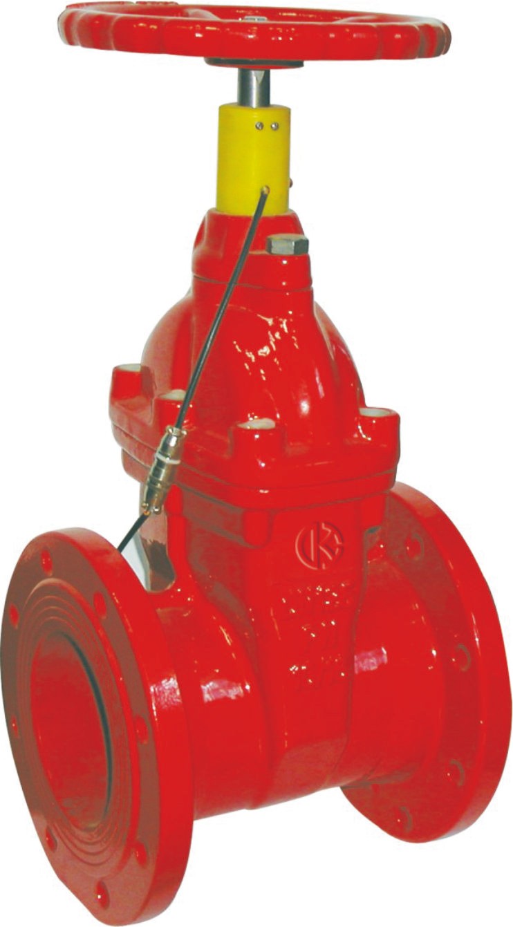 ����������̖���������l�y