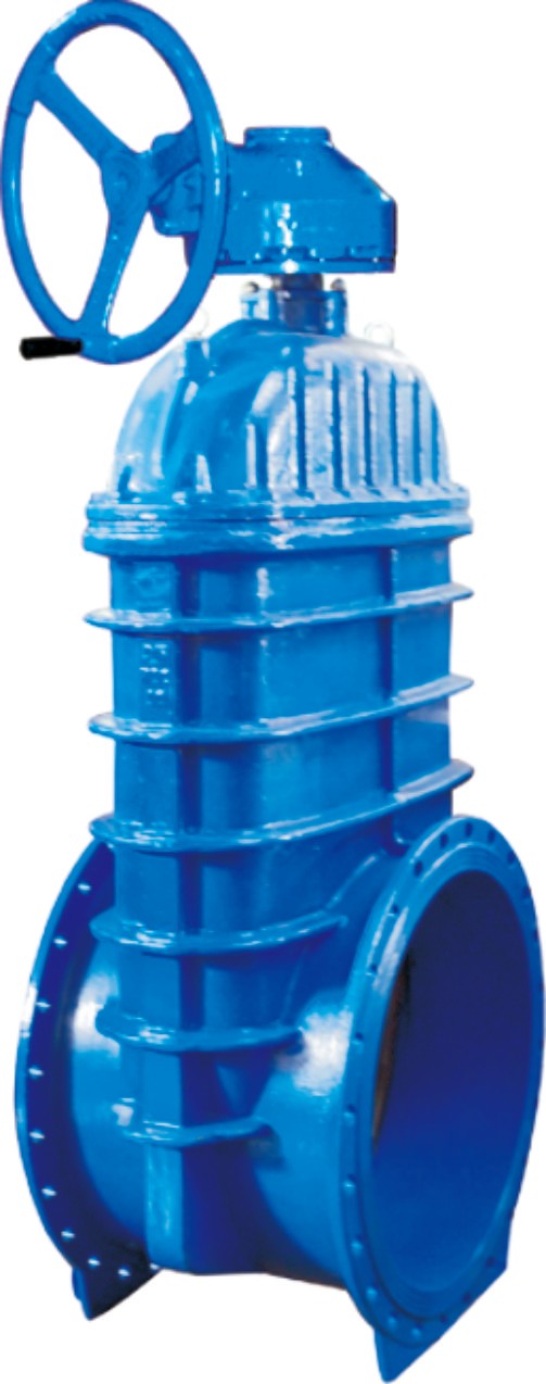 ��ڏ����������l�y