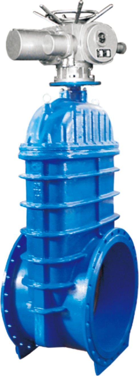 ��ڏ����������l�y