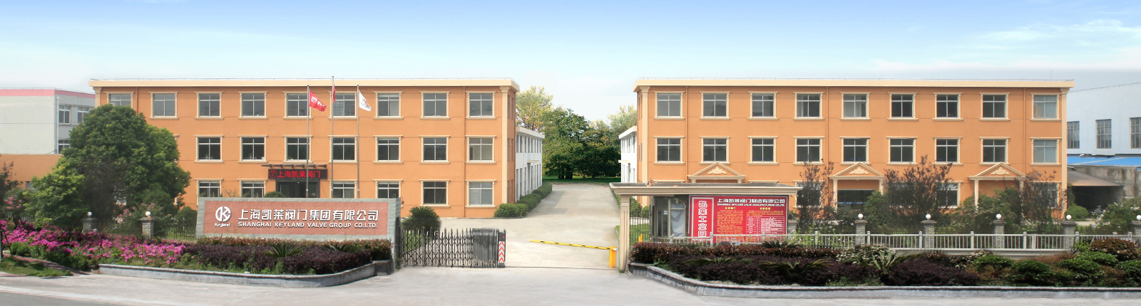 �Ϻ��P�R�y�T���F