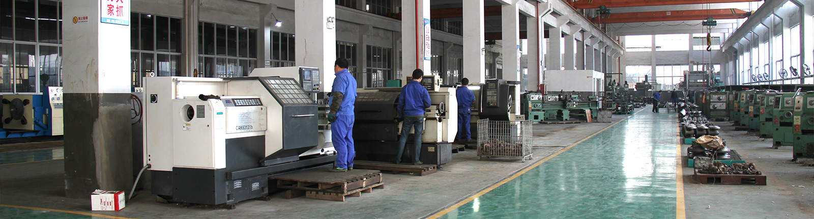 �Ϻ��P�R�y�T���F